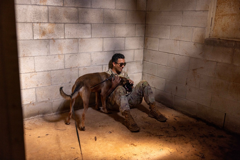 A person in military camouflage uniform sits on the floor in the corner of a concrete block structure, interacting with a medium-sized brown dog. The setting appears to be a sparse, utilitarian interior with cinder block walls and a concrete floor. Natural light enters from a window on the right side, casting dramatic shadows across the scene.