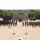 U.S., Indian Armies stand together at Yudh Abhas 2026 A military joint exercise ceremony is taking place on an open sandy parade ground, with two large formations of soldiers from what appear to be multiple nations standing at attention or saluting. National flags including the Indian tricolor, the United States flag, and what appears to be a French flag are prominently displayed on poles. Military vehicles including what appears to be a missile launcher system and artillery pieces are positioned in the background alongside a ceremonial backdrop board.