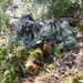 Two individuals in ghillie suits are lying prone in a wooded, vegetated area in a concealed sniper/observer position. One person is using binoculars for observation while the other appears to be positioned behind a scoped rifle. The setting and equipment suggest a military training exercise or tactical field operation.