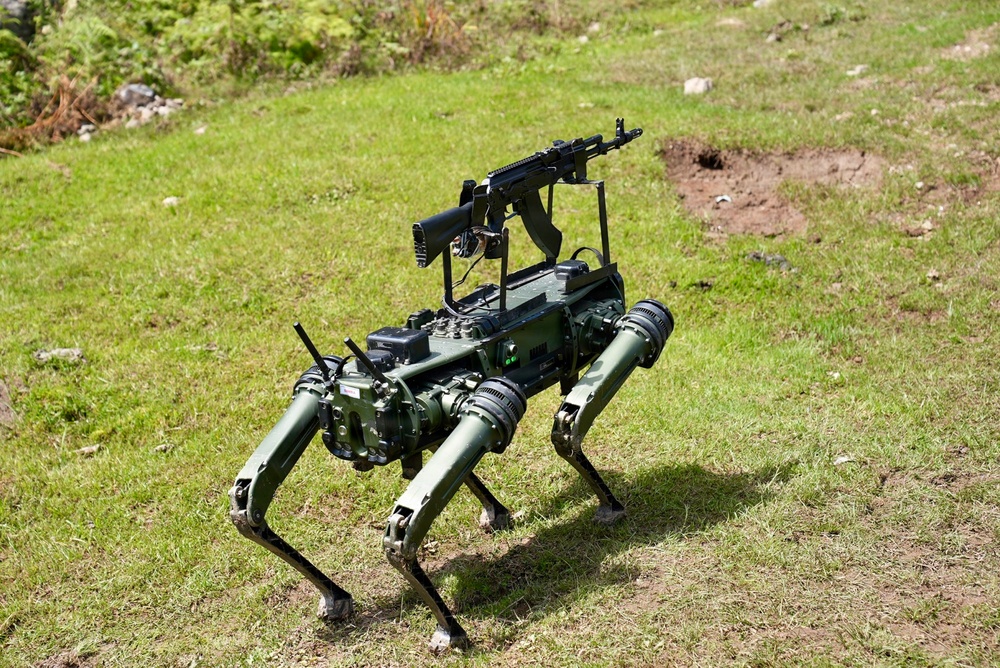 A quadrupedal military robot painted in olive/dark green is photographed outdoors on a grassy terrain. The robot has a rifle-style weapon system mounted on its upper platform. The image appears to depict a weaponized autonomous ground robot, likely used for military or defense demonstration purposes.