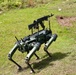 A quadrupedal military robot painted in olive/dark green is photographed outdoors on a grassy terrain. The robot has a rifle-style weapon system mounted on its upper platform. The image appears to depict a weaponized autonomous ground robot, likely used for military or defense demonstration purposes.