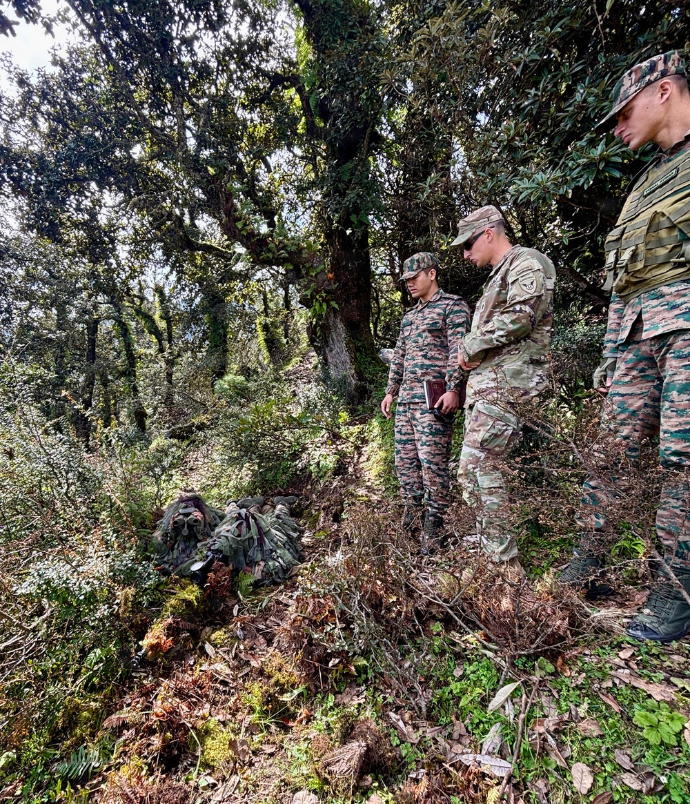 The image shows a military training exercise in a forested environment. Three standing soldiers in different camouflage uniforms are observing a fourth soldier in a ghillie suit who is concealed on the ground. This appears to be a sniper or stalking exercise evaluation, with what appears to be a mixed-nationality training scenario.