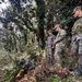 The image shows a military training exercise in a forested environment. Three standing soldiers in different camouflage uniforms are observing a fourth soldier in a ghillie suit who is concealed on the ground. This appears to be a sniper or stalking exercise evaluation, with what appears to be a mixed-nationality training scenario.