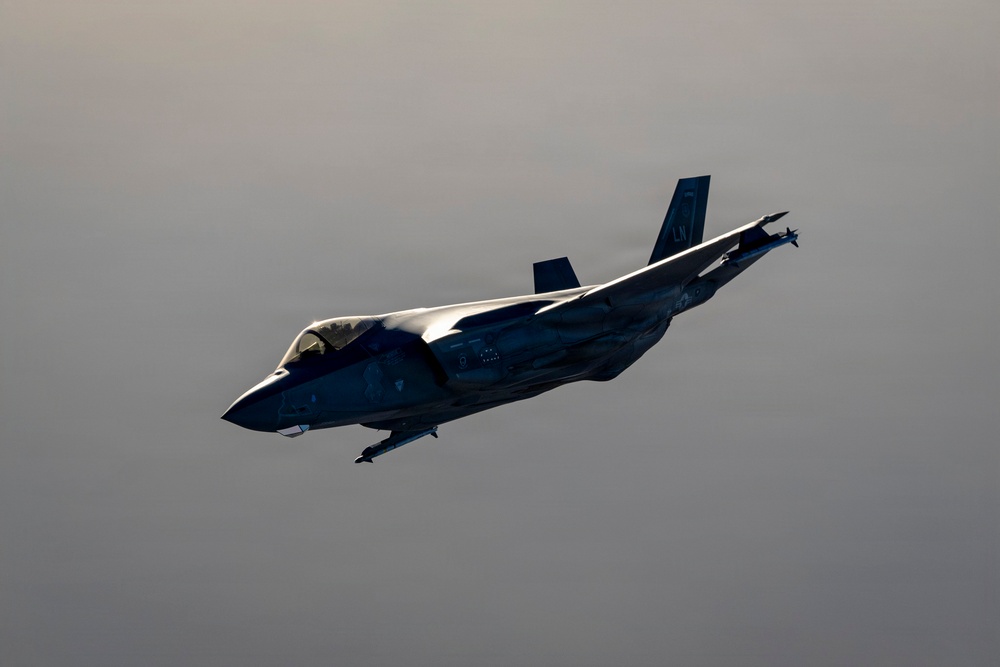 A single military jet aircraft is captured in flight against an overcast, gray sky. The aircraft is photographed from a slightly elevated angle, showing its upper fuselage with dramatic side lighting that highlights its sleek, angular design. The tail fin displays the letters 'LN', indicating a unit or base designation.