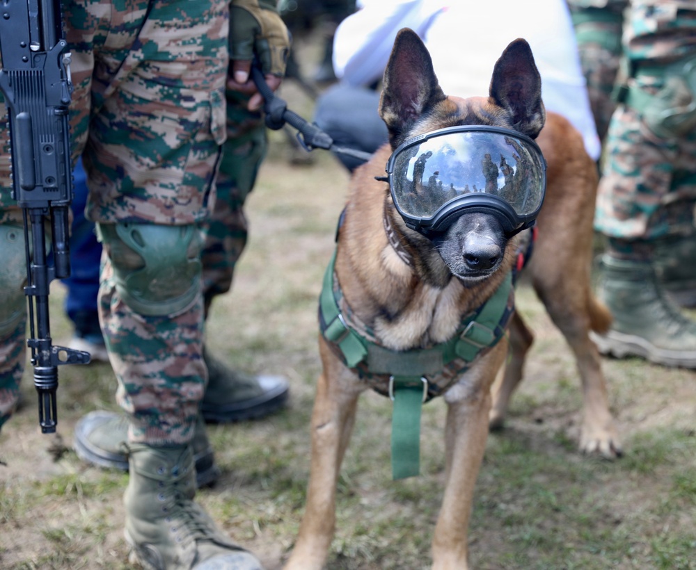 A military working dog, likely a Belgian Malinois, is equipped with tactical gear including protective goggles and a green tactical harness. The dog is on a leash held by a soldier in camouflage uniform who is also carrying a rifle. The setting appears to be an outdoor military exercise or demonstration with multiple uniformed personnel visible in the background.