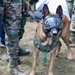 A military working dog, likely a Belgian Malinois, is equipped with tactical gear including protective goggles and a green tactical harness. The dog is on a leash held by a soldier in camouflage uniform who is also carrying a rifle. The setting appears to be an outdoor military exercise or demonstration with multiple uniformed personnel visible in the background.