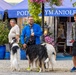 1ID Band Energizes Bolesławiec