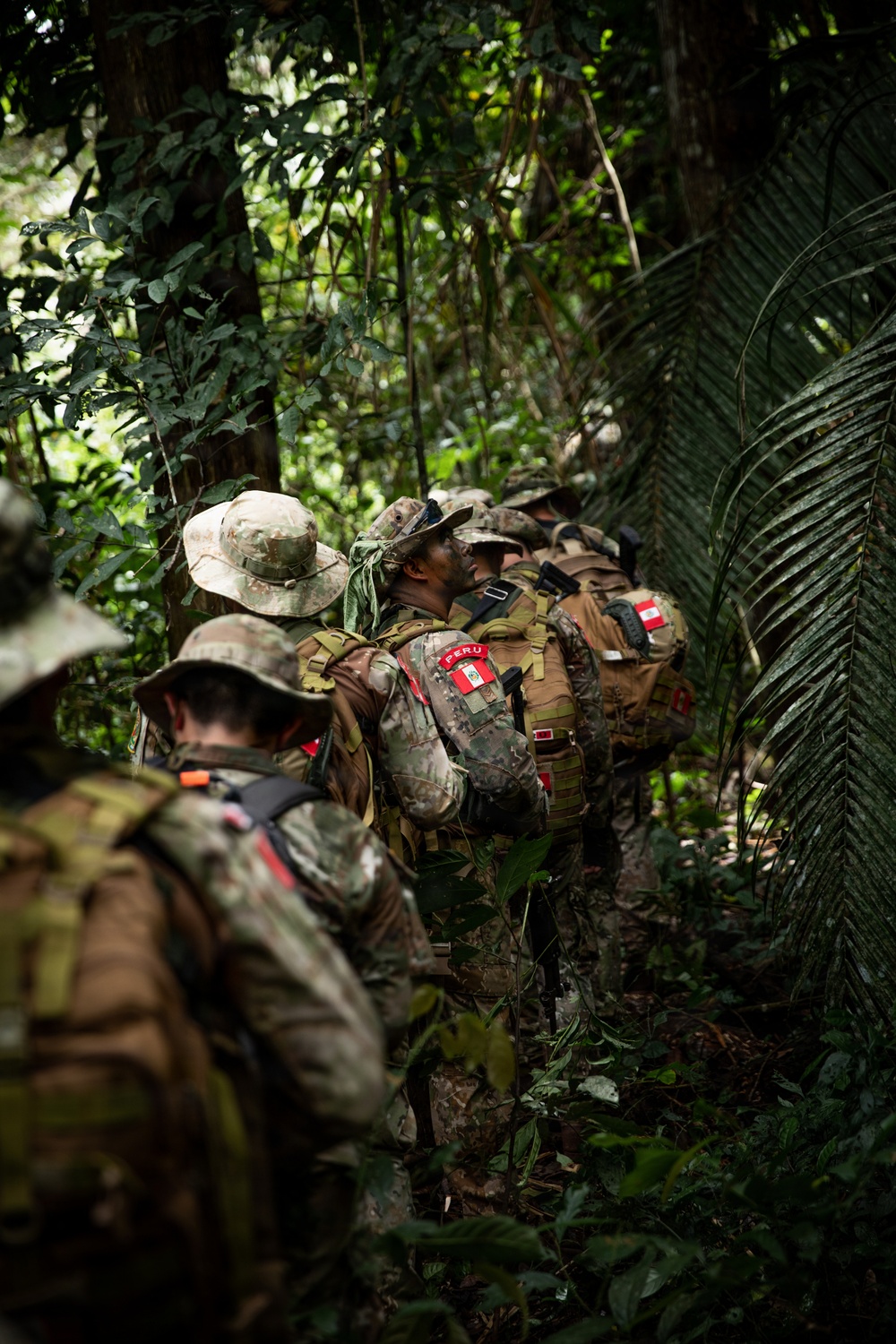 Southern Vanguard 2026 Field Training Exercise kicks off in Sauce, Peru