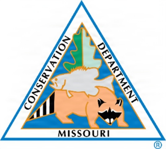 MDC invites first-time Fort Leonard Wood dove hunters to mentored hunt event