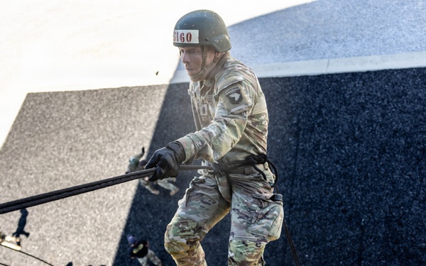 A soldier in full military camouflage uniform is rappelling down a tall dark wall structure, gripping a rope while suspended in mid-air. The soldier wears a helmet with visible labeling, tactical gloves, and tan combat boots. Additional personnel are visible at the base of the structure, suggesting a supervised military training exercise.