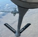 Bats Fuel the Bone over South Dakota