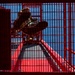 A person is visible through a red metal grid/cage structure, appearing to be crouching or working on elevated industrial equipment. The dominant visual element is the bright red painted metal framework with a uniform grid pattern. Strong contrast between the red structure, the person in shadow, and the bright blue sky in the background creates a striking compositional effect.