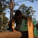 A soldier wearing camouflage uniform and numbered bib '5' is navigating a military obstacle course, climbing over a large log barrier. Green smoke can be seen in the background, suggesting a simulated combat or training exercise environment. The setting appears to be a wooded military training area during early morning or late afternoon light.