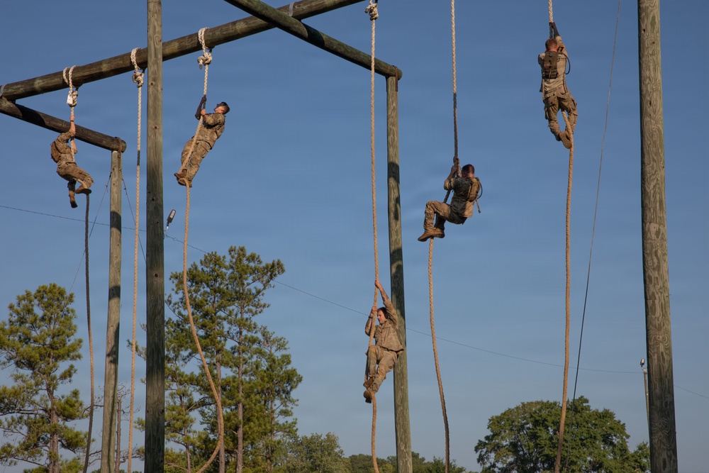Multiple military personnel in camouflage uniforms are climbing vertical ropes on a large wooden obstacle course structure. The training apparatus consists of tall wooden poles with horizontal crossbeams from which several thick ropes hang. The scene appears to be an outdoor military physical training exercise taking place during daylight hours.