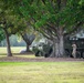 The image shows two military armored vehicles, consistent with Stryker-type wheeled armored personnel carriers, parked beneath large oak trees on a grassy field. At least one soldier in camouflage uniform is visible standing near the vehicles. The setting appears to be a military installation or park-like grounds.