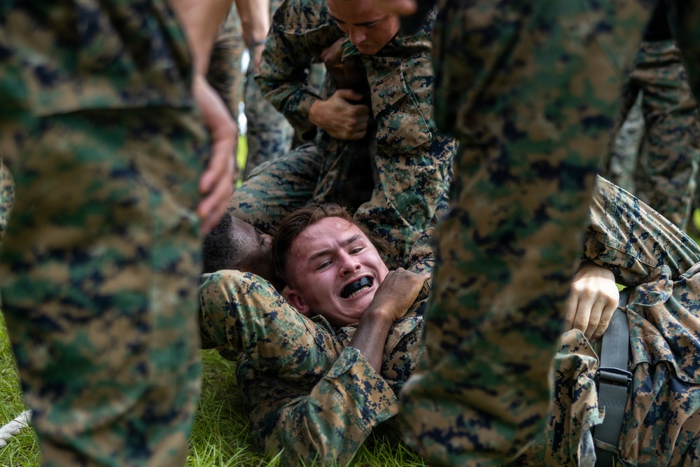 Multiple military personnel in woodland digital camouflage uniforms are engaged in a close-quarters combat or martial arts training exercise on grass. One service member wearing a black mouthguard is being held in a grappling position by another, with additional personnel surrounding them. The scene depicts an organized combatives or hand-to-hand combat training drill.
