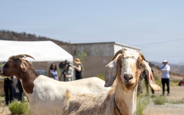 MCAS Miramar conducts Operation Goat Rope at East Miramar