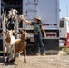 A woman in a cowboy hat and green t-shirt is unloading goats from the back of a large white livestock truck on a dirt road. Several goats of varying colors are descending a metal ramp from the truck, with at least two already on the ground. The setting appears to be a dry, hilly terrain, likely in California based on the landscape and visible license plate.