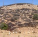 A large herd of goats, numbering in the hundreds, is spread across a dry, scrub-covered hillside under a clear blue sky. The animals appear to be grazing on the sparse vegetation across the entire slope, from the base to the hilltop. Utility poles are visible along the ridgeline, suggesting proximity to a developed area.