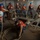 A group of naval personnel are working together on what appears to be a ship's deck or lower compartment, handling thick mooring lines and ropes. The crew members are wearing standard safety gear including blue and white hard hats and orange life vests. The scene depicts a coordinated seamanship evolution, likely a line-handling or mooring drill.