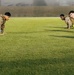 A group of military personnel in camouflage uniforms and tactical vests are performing push-ups on a green grass field. They are arranged in two parallel rows facing each other, suggesting a structured physical training exercise. The setting appears to be an outdoor athletic or training field during overcast or early morning conditions.