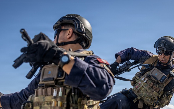 Three armed tactical personnel are conducting what appears to be a maritime boarding or vessel interdiction drill on the deck of a ship. The operators are wearing tactical gear including plate carriers, helmets, and are carrying firearms. One operator is climbing over a ship railing while the others provide cover, suggesting a coordinated boarding exercise.