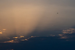 Welcome the Yellow Tails to the skies of East Africa