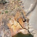 Harry L. Englebright Dam Right Abutment Inspection