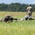 Georgia ANG Leadership Symposium 2026 Military personnel are conducting a prone firing exercise in an open grassy field. Multiple soldiers are lying in the low crawl position aiming rifles downrange while a standing instructor or cadre member observes from behind. The setting appears to be a training range, likely at a military installation.