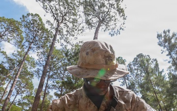 M Co Landnav