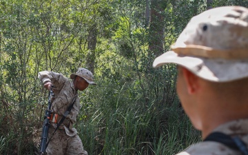 M Co Landnav