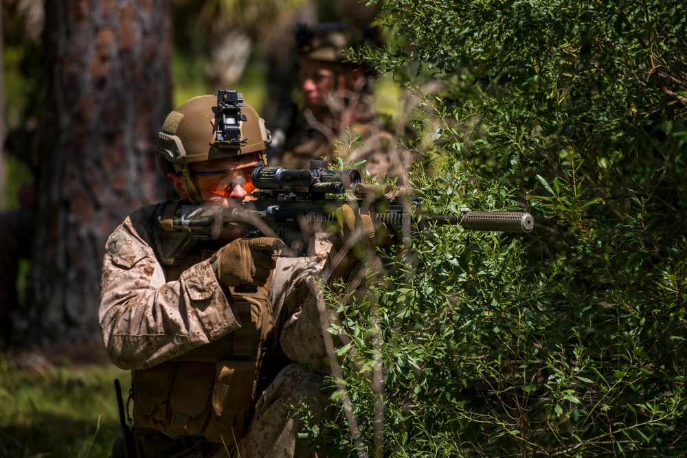 A soldier in desert camouflage (MARPAT pattern) is aiming a rifle through dense green vegetation. The primary subject is in sharp focus in the foreground, while a second individual is visible in the background. The setting appears to be a wooded or forested training or operational environment.