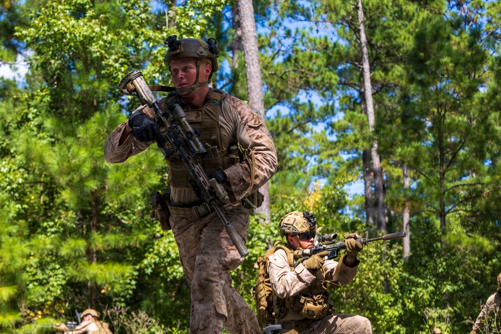 Two military personnel in desert MARPAT camouflage uniforms are conducting what appears to be a tactical training exercise in a wooded environment. The lead soldier is moving forward while carrying a rifle at the ready, while a second soldier in the background maintains a kneeling overwatch position with a scoped rifle. The setting, uniforms, and equipment are consistent with U.S. Marine Corps training operations.