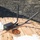 xTechAutonomy Phase II Live Demonstrations A black wireless networking device with multiple external antennas is placed on top of a large wooden cable spool reel being used as an improvised table. The device appears to be a router or wireless access point deployed in an outdoor field setting, likely a construction or work site. A shipping label, ethernet cable, and miscellaneous papers are also visible on the wooden surface.