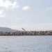 King Harbor breakwater