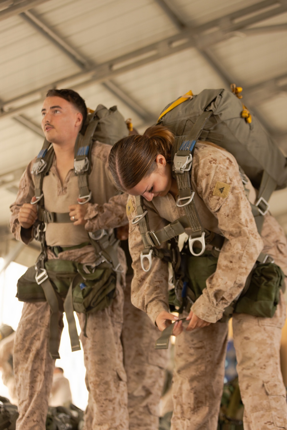 Two military personnel in desert camouflage uniforms (MARPAT pattern consistent with U.S. Marines) are wearing parachute harnesses and parachute packs, appearing to prepare for a airborne jump operation. The female service member in the foreground is looking down and adjusting or checking a buckle or fastener on her harness, while the male service member behind her looks upward. They are standing inside what appears to be a hangar or staging area.