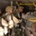 A group of military personnel in desert camouflage uniforms are inside what appears to be a military aircraft, equipped with parachute gear and combat helmets. The soldiers appear to be preparing for a parachute jump operation, with static lines and yellow anchor cables visible overhead. The scene depicts a pre-jump equipment check or staging sequence inside the aircraft cabin.