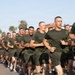 A large formation of military personnel in matching olive green t-shirts and shorts are running in unison along a paved road. The group appears to be conducting a formation run, a common military physical training exercise, with many individuals appearing to be chanting or calling cadence. The setting includes palm trees, a flagpole flying the American flag, and what appears to be a military installation in the background.