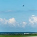 F-22 Demo Team performs at the 2026 Cleveland Air Show