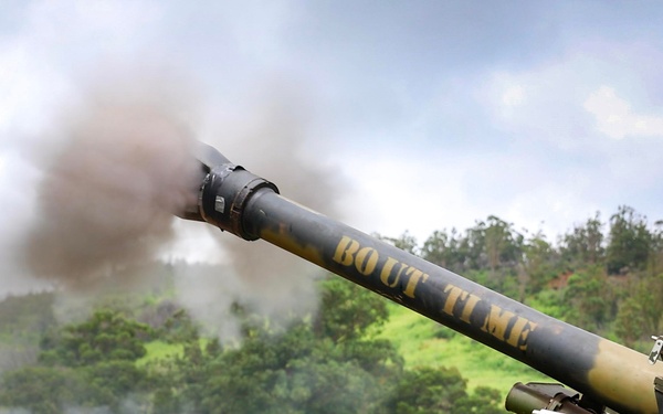 25th CAB and DIVARTY Conduct Live-Fire Gun Raid