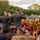 Dutch Service Members Render Honors at the LT John S Thompson Bridge Ceremony, Operation Market Garden Commemorations 2026 A military memorial ceremony is taking place outdoors, featuring uniformed soldiers saluting beside floral wreaths. Multiple military personnel from what appears to be different nations or branches are present, along with civilians and re-enactors in WWII-era uniforms. The event appears to be a commemorative wreath-laying ceremony, likely honoring fallen soldiers.