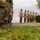 WWII Reenactors Stand in Formation at the LT John S Thompson Bridge Ceremony, Operation Market Garden Commemorations 2026 The image shows a group of individuals dressed in WWII-era U.S. Army uniforms standing in formation on a grassy area. The foreground features a close-up ground-level perspective of brown leather combat boots and olive drab trousers, while a line of similarly uniformed personnel is visible in the blurred background. An American flag is partially visible in the upper right corner, suggesting a commemorative or reenactment event.