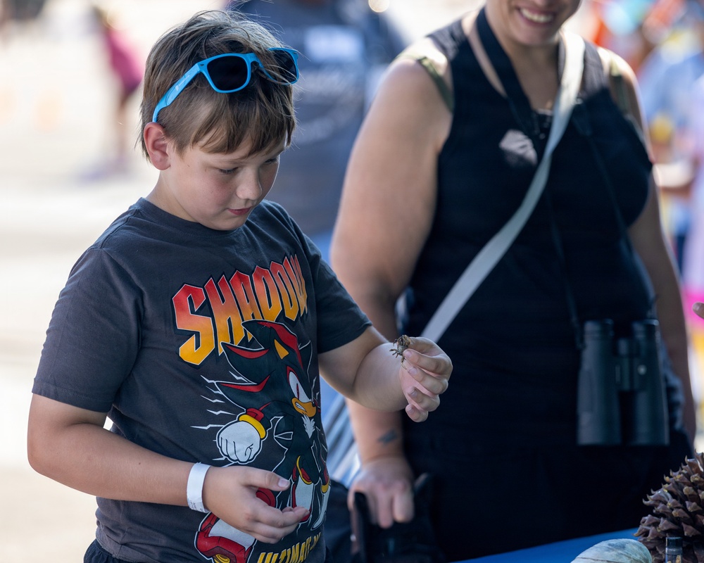 A young boy wearing a Shadow the Hedgehog t-shirt and blue sunglasses on his head is observing a spider being placed on his arm by an adult woman in a black sleeveless top. The setting appears to be an outdoor public event or fair, with a blurred crowd visible in the background. The boy looks focused and cautious while examining the spider.