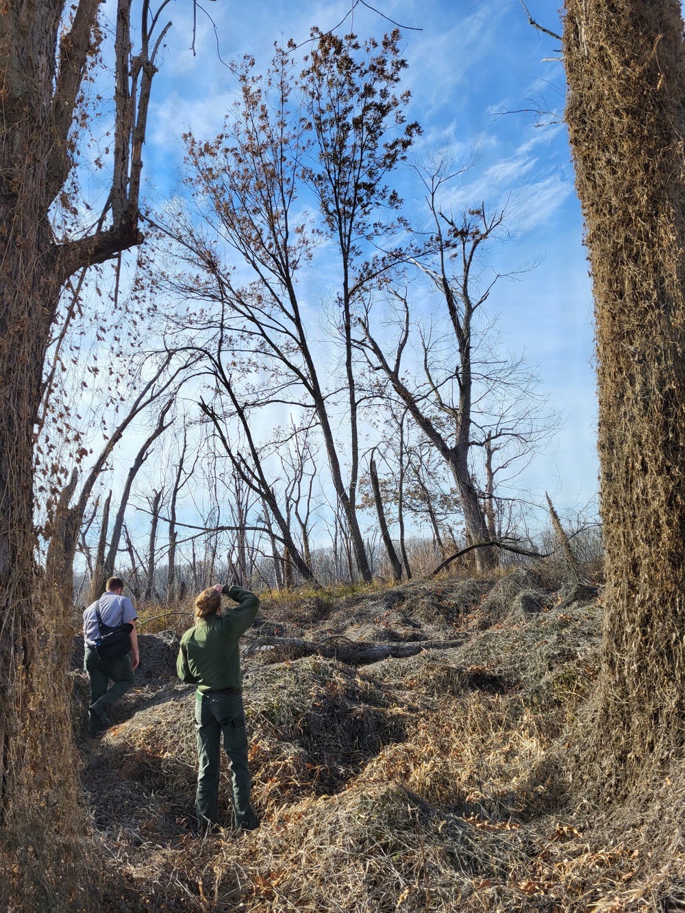 Restoration to Revitalize:  Pool 18 and the Mississippi