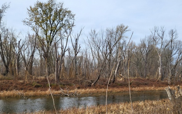 Restoration to Revitalize:  Pool 18 and the Mississippi