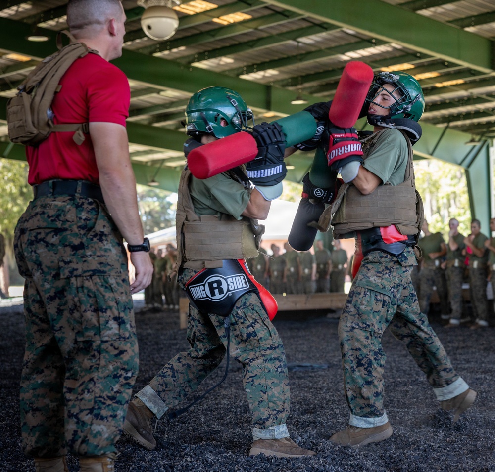 Bravo Company Body Sparring