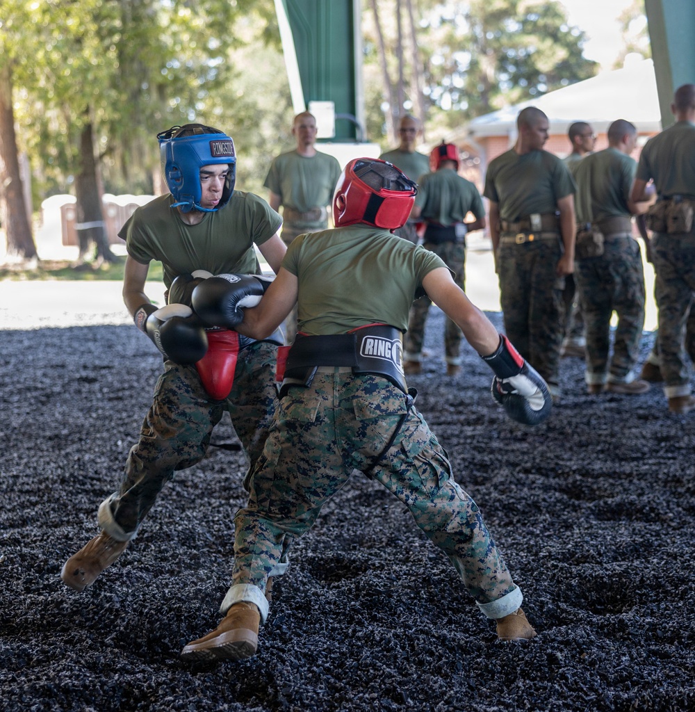 Bravo Company Body Sparring