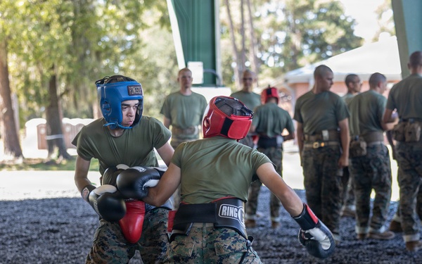 Bravo Company Body Sparring
