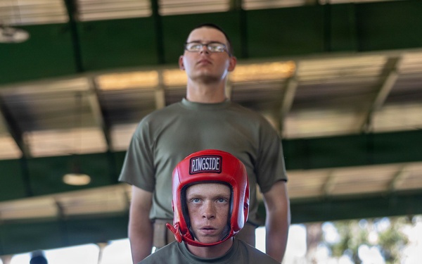 Bravo Company Body Sparring