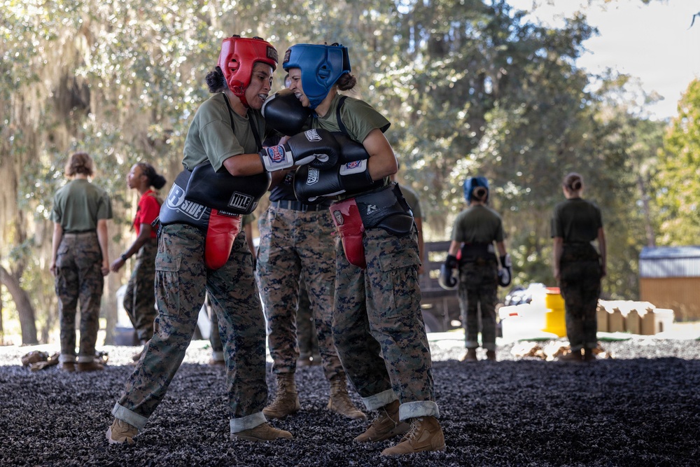 Bravo Company Body Sparring